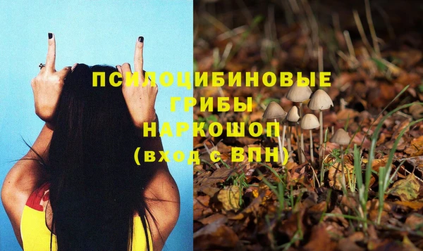 кокс Белокуриха