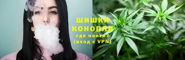 кокс Белокуриха