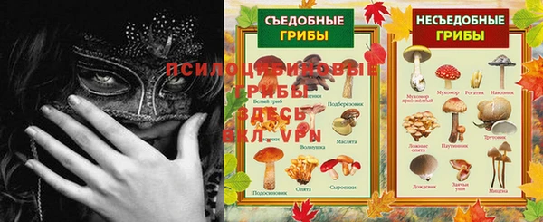 кокс Белокуриха