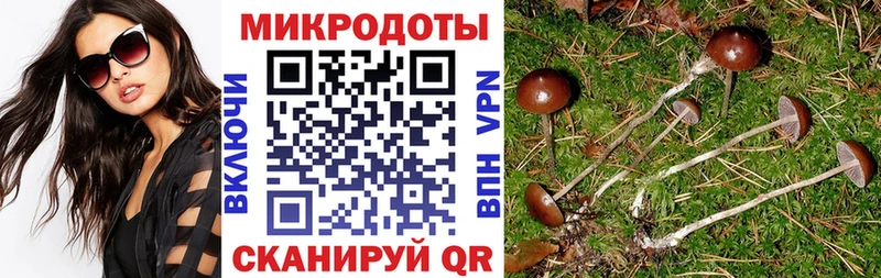 Псилоцибиновые грибы мицелий  Буинск 